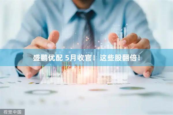 盛鹏优配 5月收官！这些股翻倍！