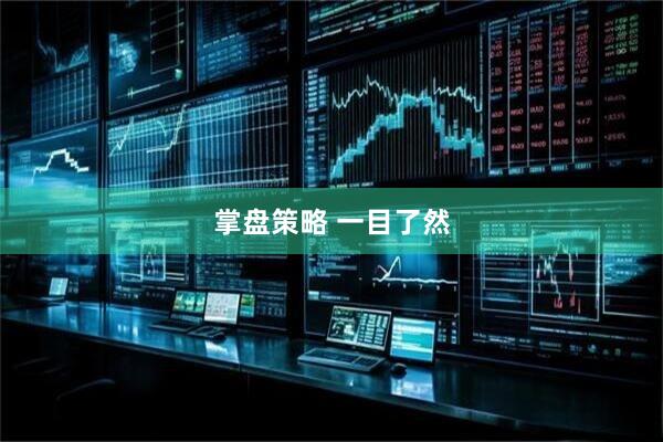 掌盘策略 一目了然