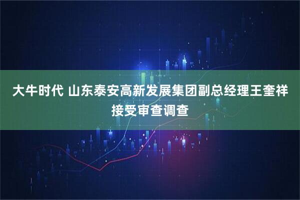 大牛时代 山东泰安高新发展集团副总经理王奎祥接受审查调查