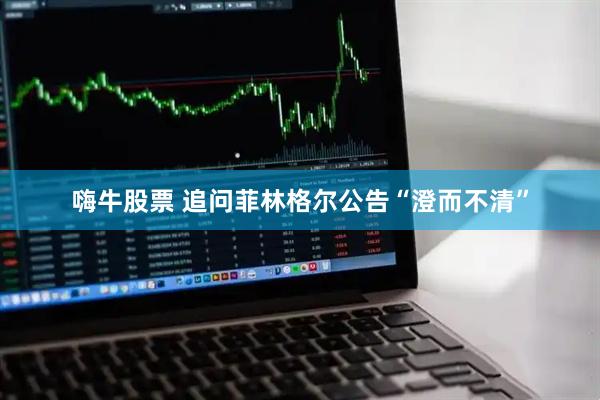 嗨牛股票 追问菲林格尔公告“澄而不清”