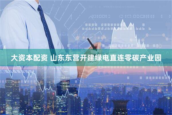 大资本配资 山东东营开建绿电直连零碳产业园
