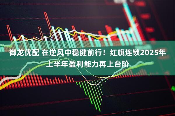 御龙优配 在逆风中稳健前行！红旗连锁2025年上半年盈利能力再上台阶