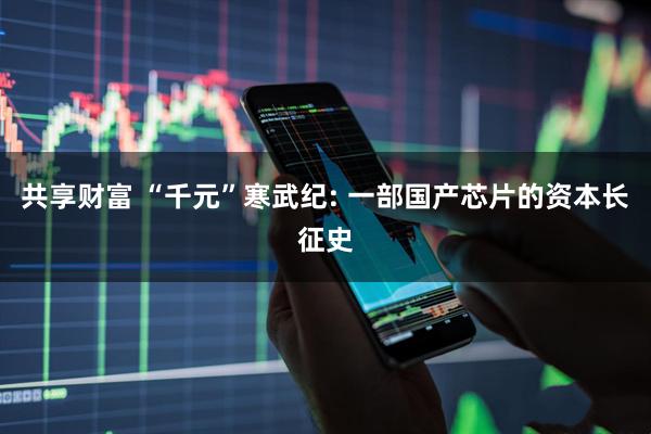 共享财富 “千元”寒武纪: 一部国产芯片的资本长征史