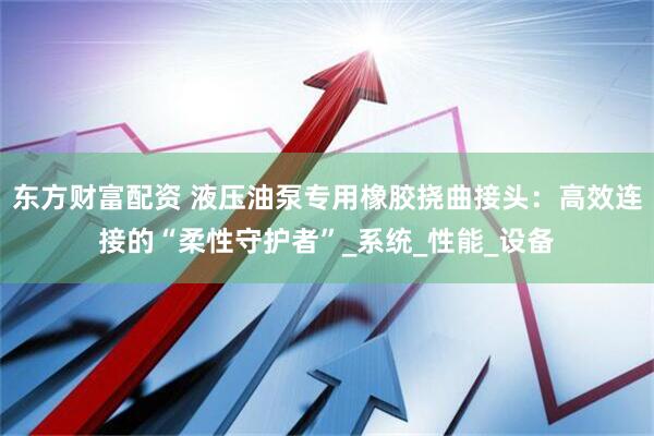 东方财富配资 液压油泵专用橡胶挠曲接头：高效连接的“柔性守护者”_系统_性能_设备