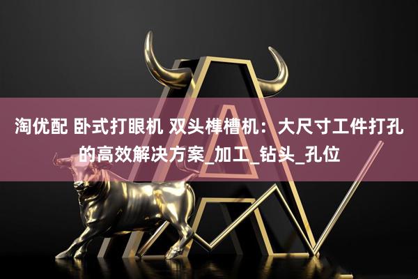 淘优配 卧式打眼机 双头榫槽机：大尺寸工件打孔的高效解决方案_加工_钻头_孔位