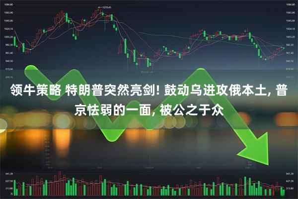 领牛策略 特朗普突然亮剑! 鼓动乌进攻俄本土, 普京怯弱的一面, 被公之于众