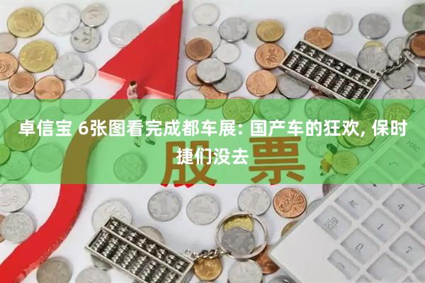 卓信宝 6张图看完成都车展: 国产车的狂欢, 保时捷们没去