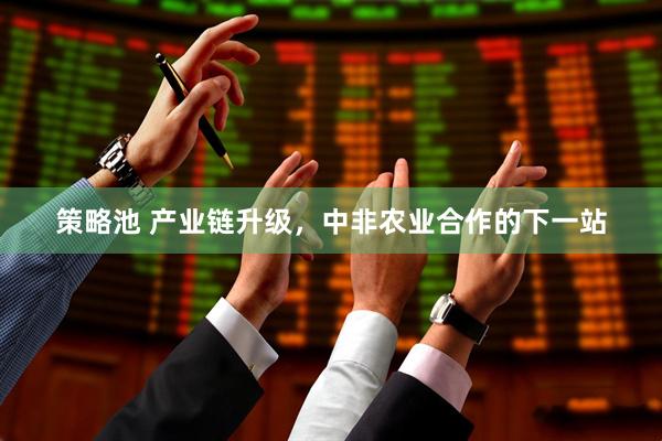 策略池 产业链升级，中非农业合作的下一站
