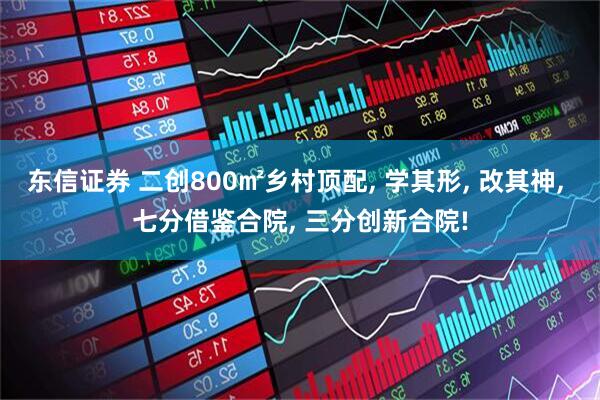 东信证券 二创800㎡乡村顶配, 学其形, 改其神, 七分借鉴合院, 三分创新合院!